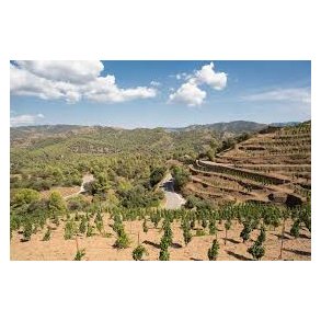 Priorat