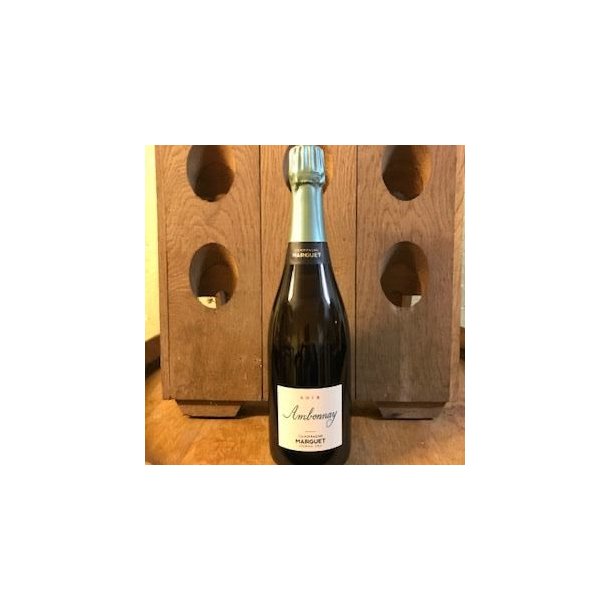 Benoit Marguet Ambonnay 2019