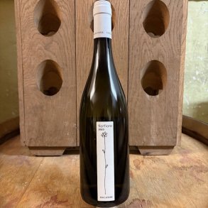 Roccafiore Fiorfiore Hvidvin 2023